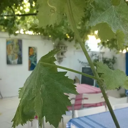 Mavi Beyaz منزل للإقامة