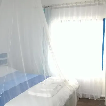 Mavi Beyaz Проживание в семье
